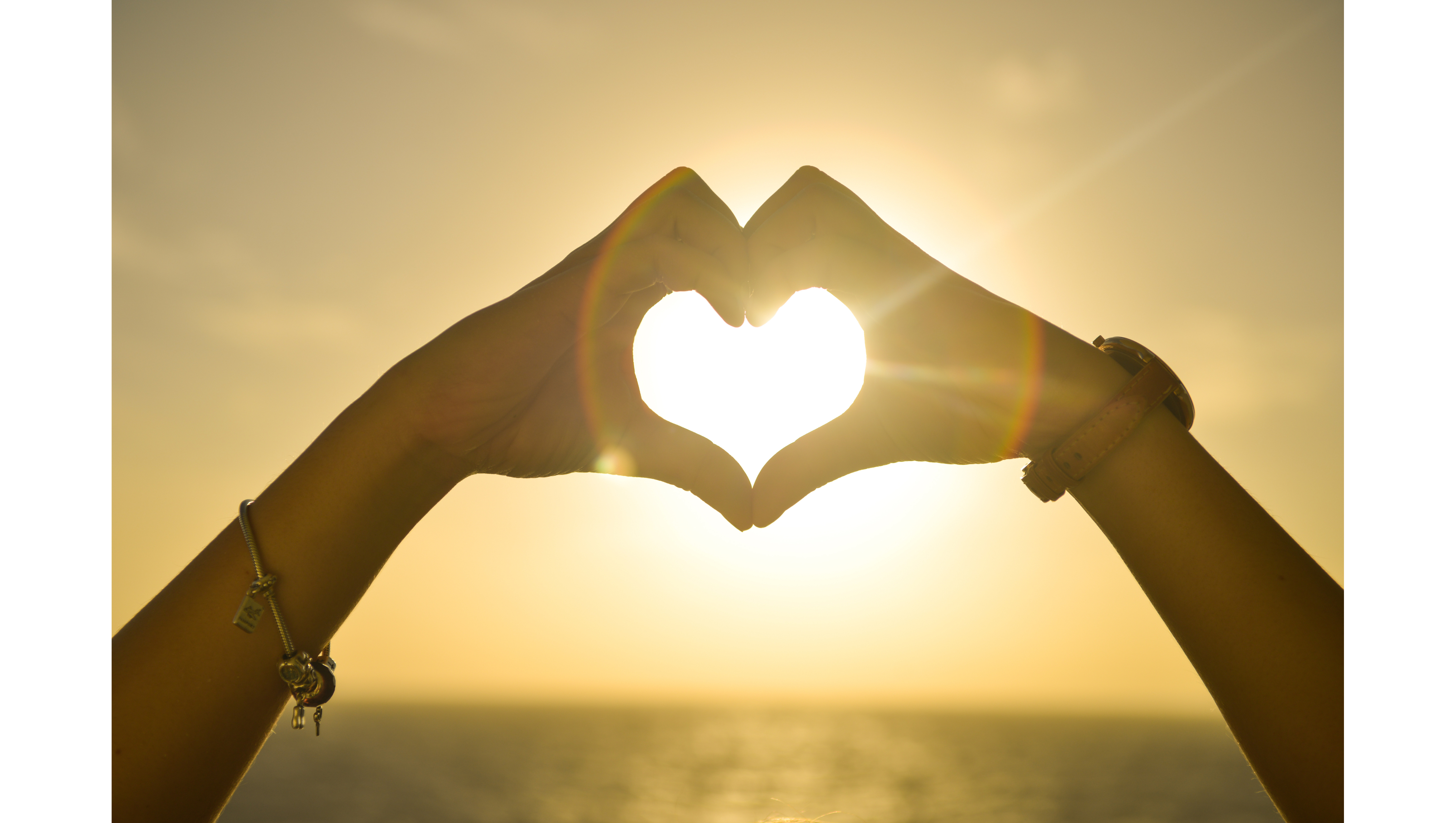 Collection ❤️ Passion