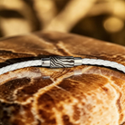 Nouveau 🦓 COFFRET ZÈBRE - Collection Sauvage